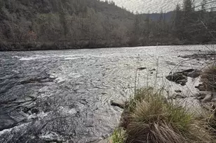 71 Cora Dr, Shady Cove, OR 97539 - Photo 41