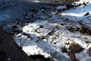 405 S Timber Creek Dr, Sisters, OR 97759 - Photo 35