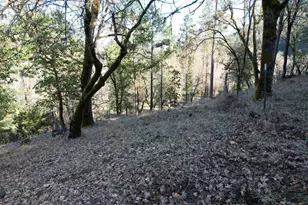 1682 Brown Rd, Applegate, OR 97530 - Photo 47