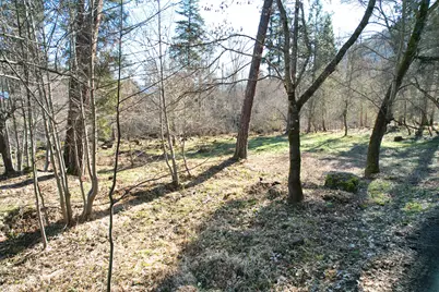 1682 Brown Road, Applegate, OR 97530 - Photo 5