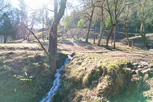 1682 Brown Rd, Applegate, OR 97530 - Photo 45