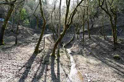 1682 Brown Road, Applegate, OR 97530 - Photo 43