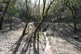 1682 Brown Rd, Applegate, OR 97530 - Photo 43