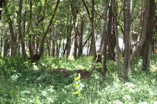 2409 Smokey Ln, Grants Pass, OR 97527 - Photo 1