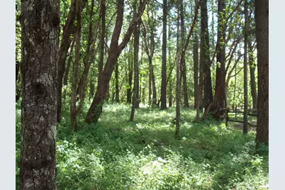 2409 Smokey Lane, Grants Pass, OR 97527 - Photo 3