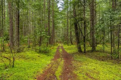0 Upper Cow Creek Road, Azalea, OR 97410 - Photo 5