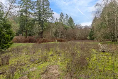 0 Upper Cow Creek Road, Azalea, OR 97410 - Photo 13