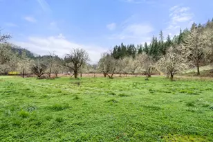 441 Tunnel Rd, Glendale, OR 97442 - Photo 23