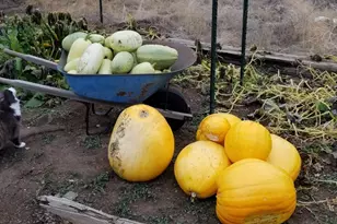 1686 NE Negus Way, Redmond, OR 97756 - Photo 37