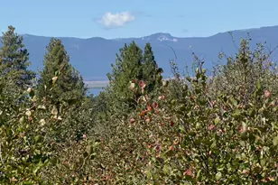 David St, Klamath Falls, OR 97601 - Photo 1