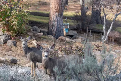 3695 NW Kirkaldy Court, Bend, OR 97703 - Photo 59