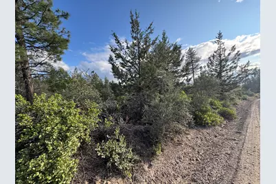 0 Grizzly Lane #9, Bonanza, OR 97623 - Photo 3