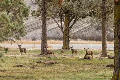 12156 Turnstone Drive, Klamath Falls, OR 97601 - Photo 35