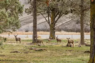 12156 Turnstone Dr, Klamath Falls, OR 97601 - Photo 35