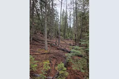 0 E Yak / Hwy 140 Lane #Lot 1, Bonanza, OR 97623 - Photo 5