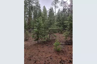 0 E Yak / Hwy 140 Lane #Lot 1, Bonanza, OR 97623 - Photo 1