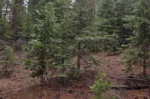 0 E Yak / Hwy 140 Ln, Bonanza, OR 97623 - Photo 1