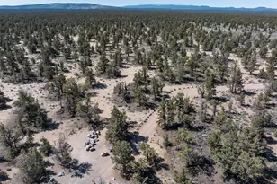 61212 Obernolte Rd, Bend, OR 97701 - Photo 49