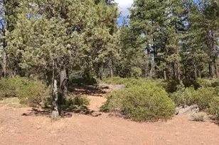 31423 Sailfish Ln, Bonanza, OR 97623 - Photo 7