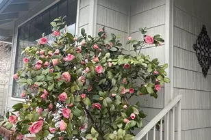 2446 Heritage Way, Medford, OR 97504 - Photo 51