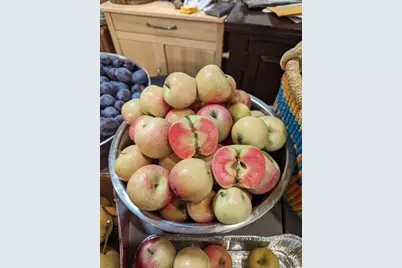 3510 Small Court, Klamath Falls, OR 97603 - Photo 45