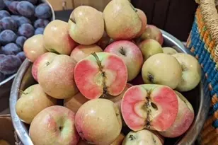 3510 Small Ct, Klamath Falls, OR 97603 - Photo 45