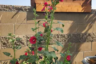 1291 NW Willow Parkway Rd, Madras, OR 97741 - Photo 37