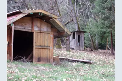 206 Lower Wolf Creek Road, Wolf Creek, OR 97497 - Photo 13