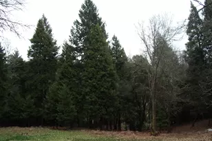 206 Lower Wolf Creek Rd, Wolf Creek, OR 97497 - Photo 33