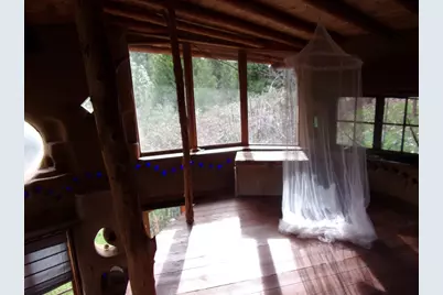 206 Lower Wolf Creek Road, Wolf Creek, OR 97497 - Photo 23