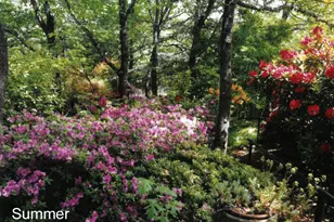 175 Hillcrest St, Ashland, OR 97520 - Photo 31