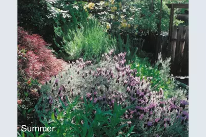 175 Hillcrest Street, Ashland, OR 97520 - Photo 33