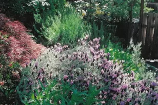 175 Hillcrest St, Ashland, OR 97520 - Photo 33