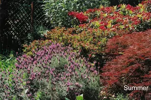 175 Hillcrest St, Ashland, OR 97520 - Photo 35