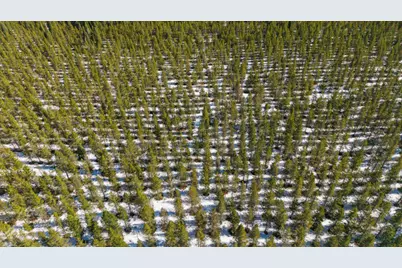 0 Clover Creek Rd Road #71022, Klamath Falls, OR 97601 - Photo 11