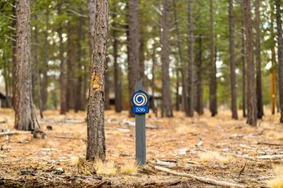 Elk Run Drive #536, Bend, OR 97707 - Photo 1
