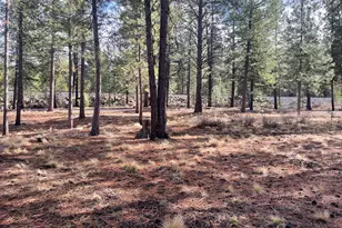 57048 Deer Ln, Bend, OR 97707 - Photo 15