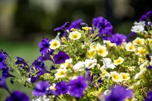 61275 Lane Knolls Ct, Bend, OR 97702 - Photo 47