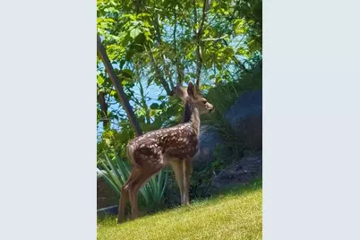 2835 Front Street, Klamath Falls, OR 97601 - Photo 35