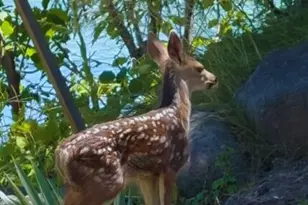 2835 Front St, Klamath Falls, OR 97601 - Photo 35