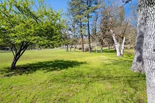 778 Ragsdale Rd, Trail, OR 97541 - Photo 47