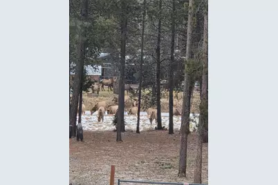 17168 Island Loop Way, Bend, OR 97707 - Photo 77