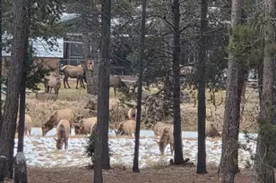 17168 Island Loop Way, Bend, OR 97707 - Photo 77