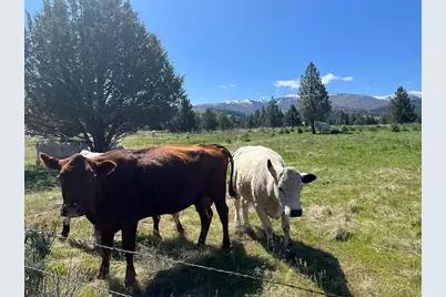 27847 Pine Creek Road, John Day, OR 97845 - Photo 55