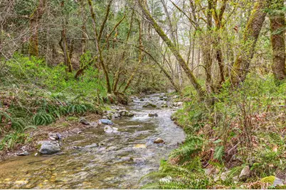 13645 E Evans Creek Road, Rogue River, OR 97537 - Photo 25