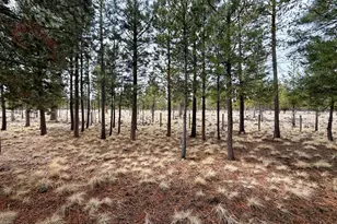 52495 Lost Ponderosa Rd, La Pine, OR 97739 - Photo 31