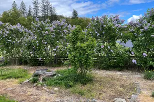 6901 Old Stage Rd, Central Point, OR 97502 - Photo 21