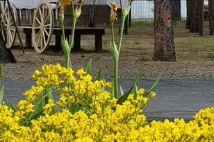 14741 N Sugar Pine Way, La Pine, OR 97739 - Photo 43