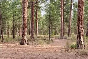 14741 N Sugar Pine Way, La Pine, OR 97739 - Photo 51