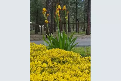 14741 N Sugar Pine Way, La Pine, OR 97739 - Photo 45